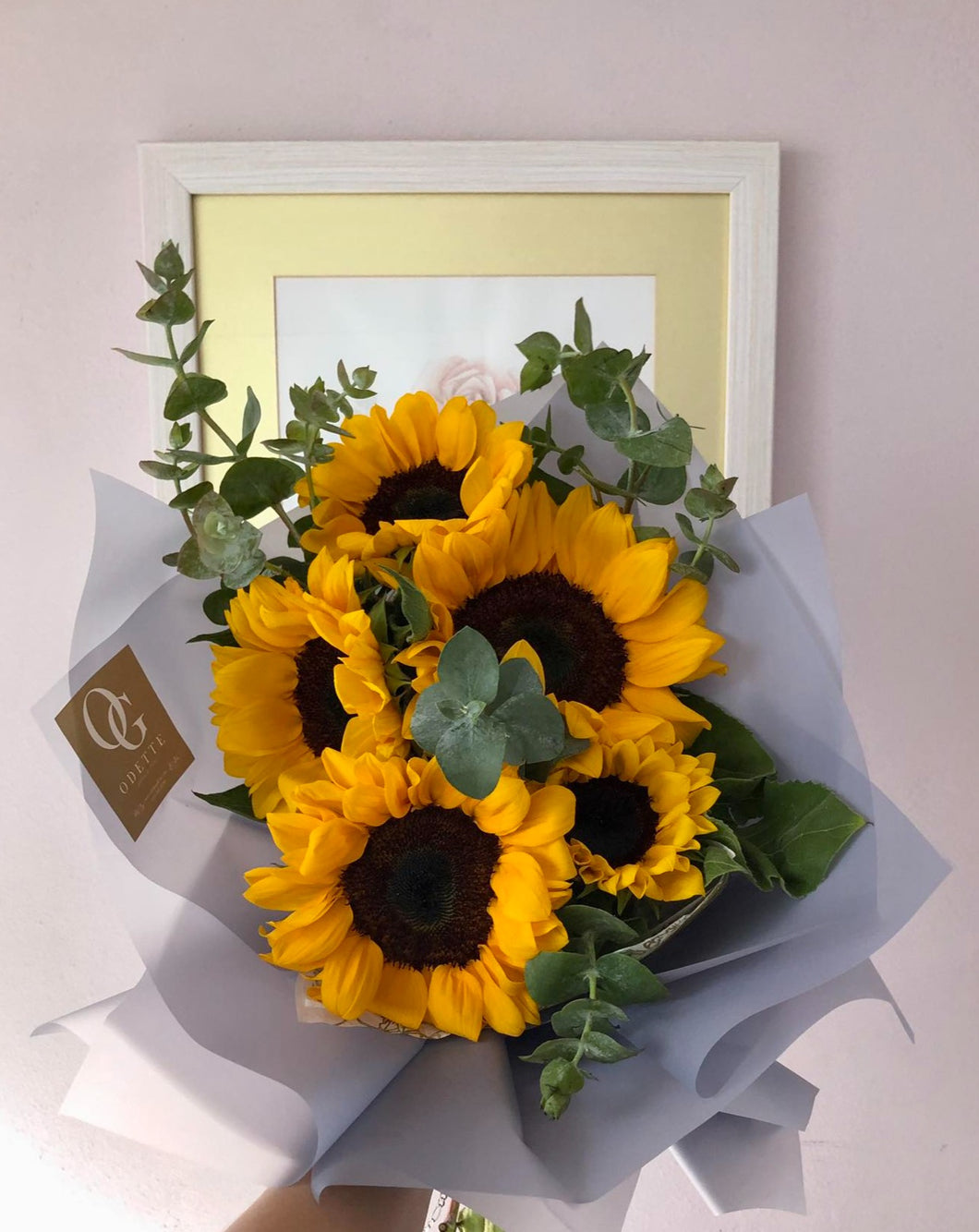 girasol
